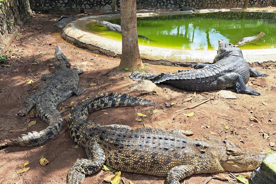 Melaka Crocodile Park